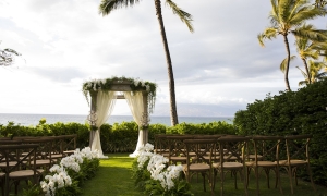 An outdoor wedding arch beneath a palm tree, with rows of seats lined up on a lawn